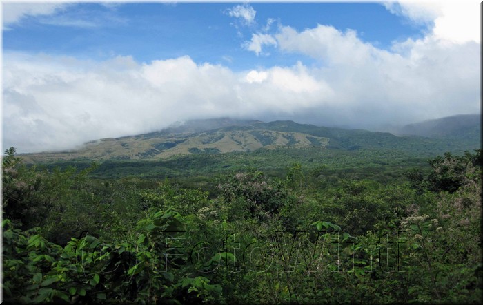 Nat_Ricon_Vieja009.jpg