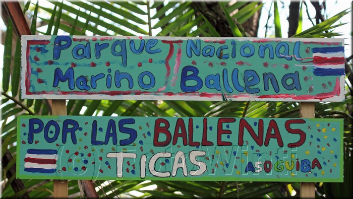 Playa_Ballena002.JPG