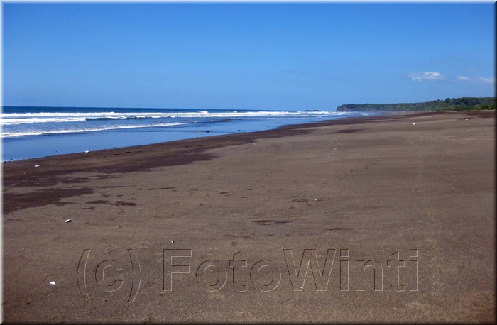 Playa_Ostional001.jpg