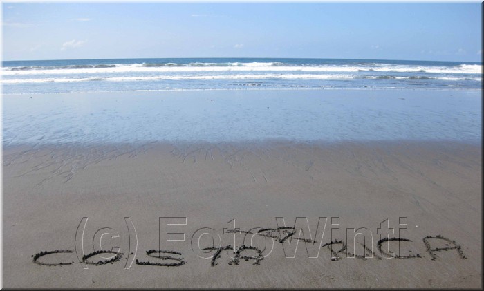 Playa_Ostional002.jpg