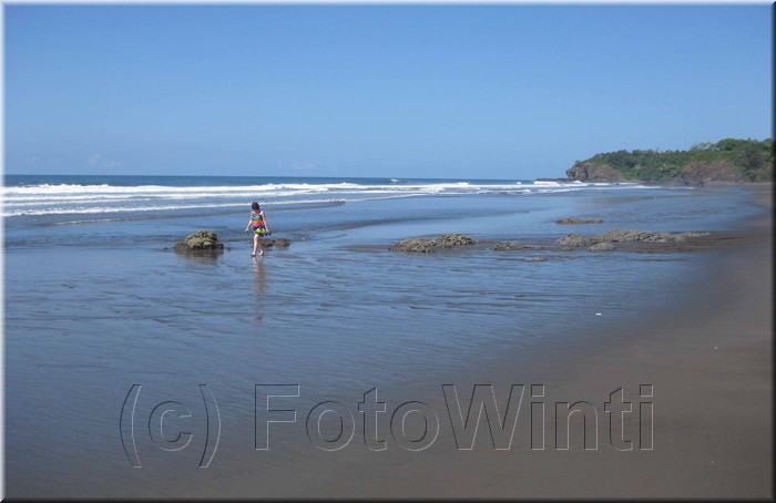 Playa_Ostional003.jpg