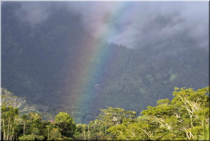 Rainbow001.jpg