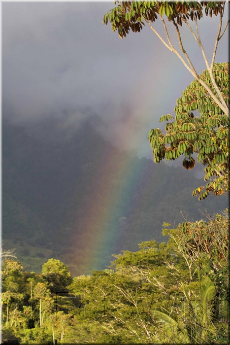 Rainbow002.jpg