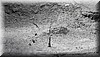 Nat_Ricon_Vieja006.JPG
