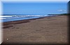 Playa_Ostional001.jpg