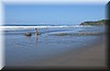 Playa_Ostional003.jpg